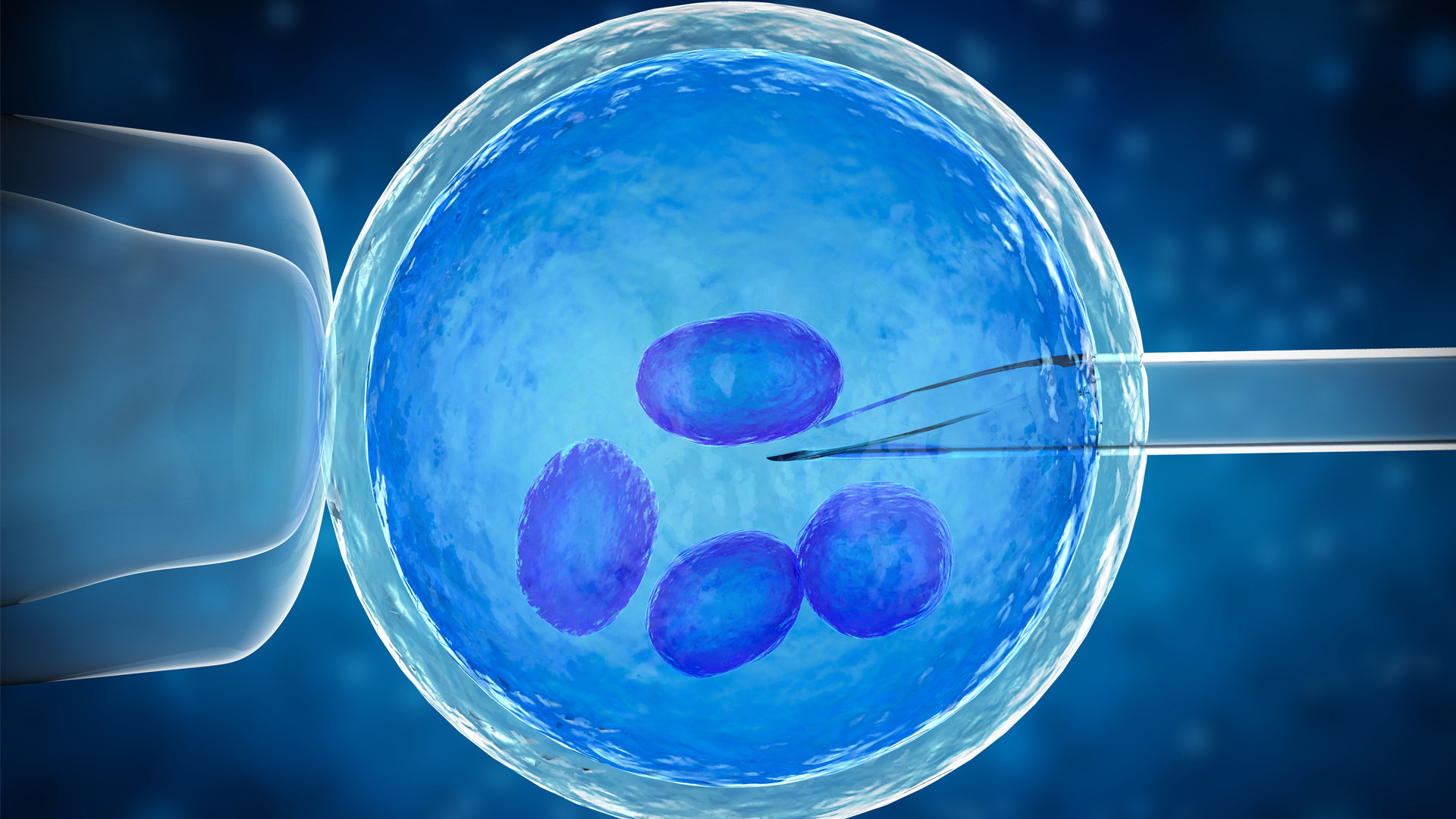 assisted-reproductive-technology-IVF-iStock-PhonlamaiPhoto